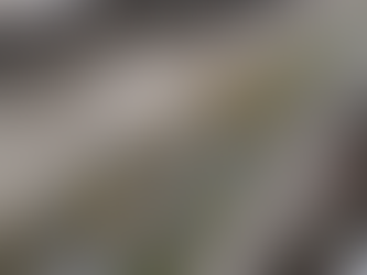 Prefeitura de Guarujá lança canal para receber solicitações de zeladoria urbana