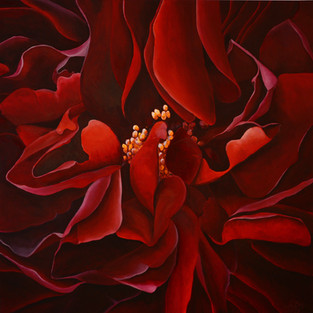 blackredbeauty