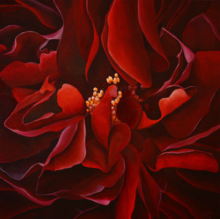 blackredbeauty