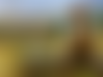 The 3 Levels of Hope: Are You Surviving, Thriving, or Overflowing?