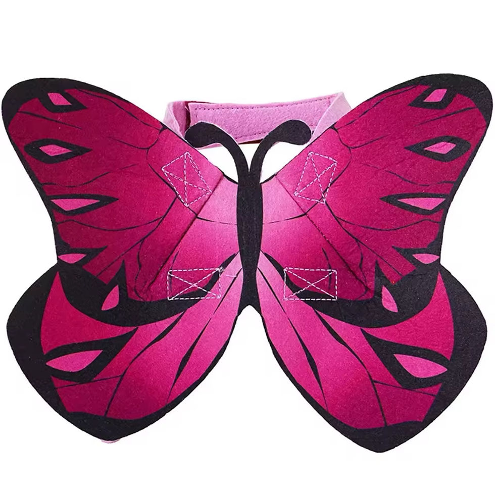Miniatura: Disfraz Mariposa