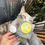 Miniatura: Catnip en Polvo