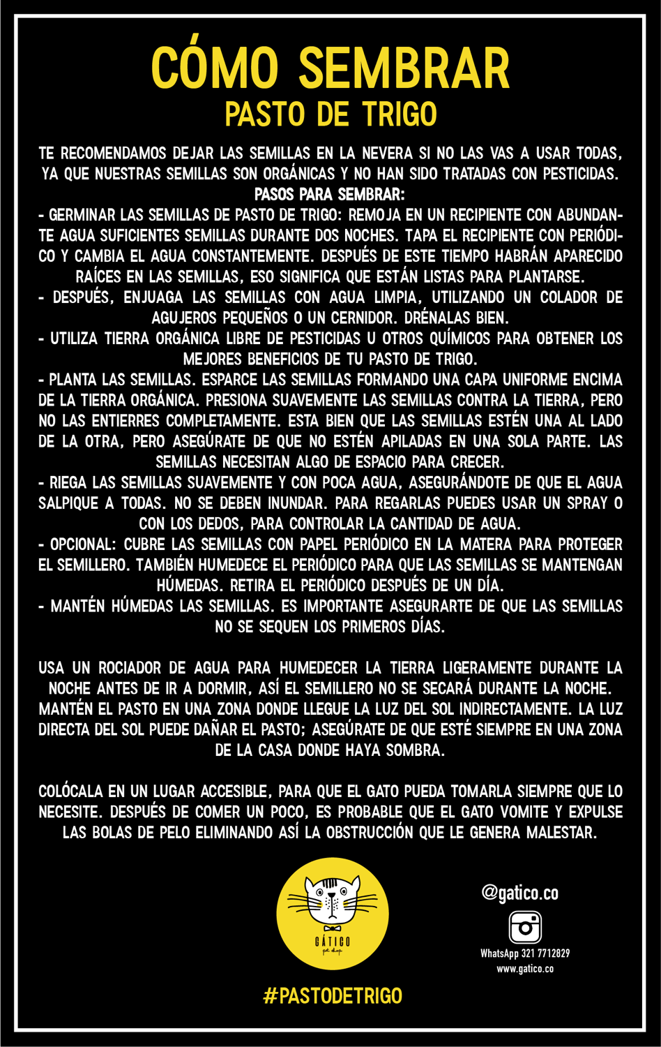 Miniatura: Semillas Pasto de Trigo