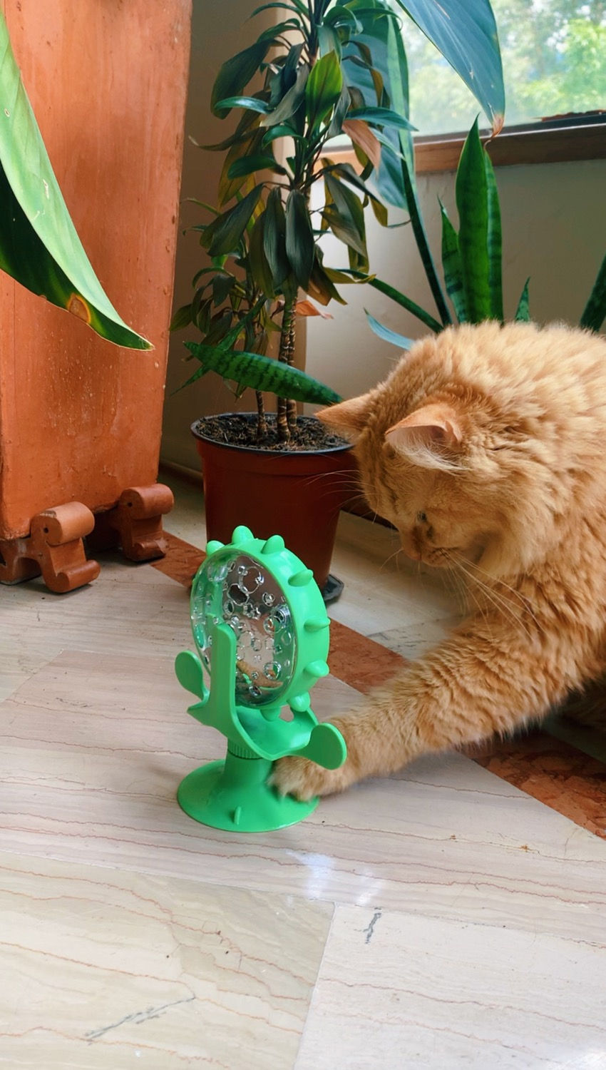 Miniatura: Juguete Rueda Giratoria