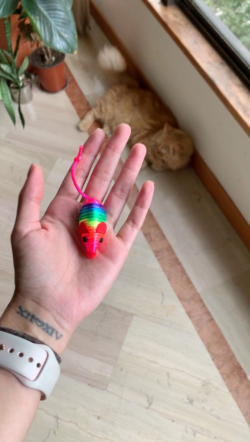 Miniatura: Raton Arcoiris x 5
