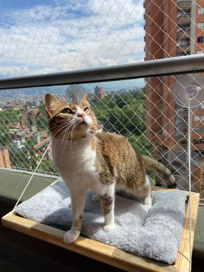 Miniatura: Hamaca de Ventana