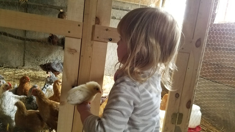 Our Farmhand helping with chores