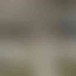 Une cérémonie laïque à Bordeaux