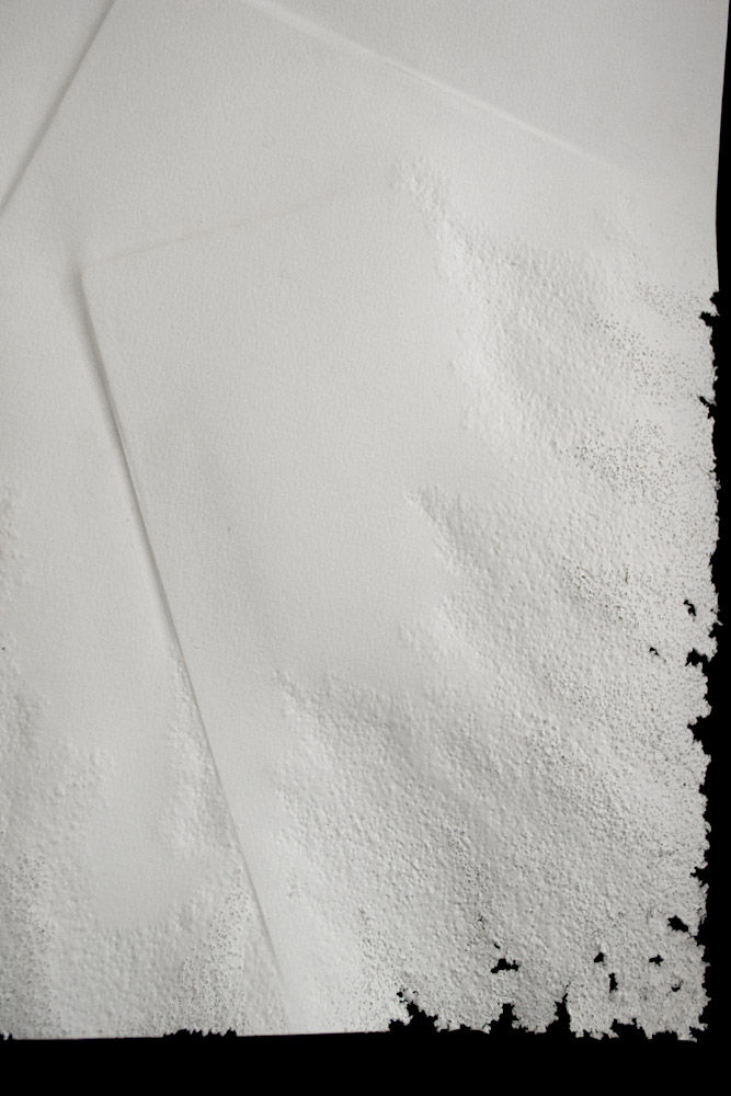 Miniature : EROSION 190901