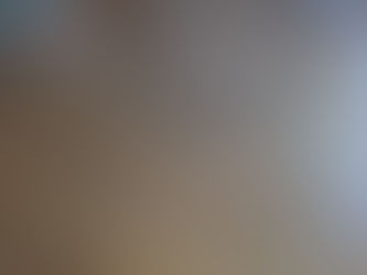 ☆小梅日記☆予算かけずに・・・