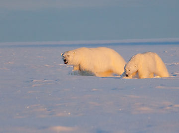 IMG_7558fix kopia (kopia).jpg