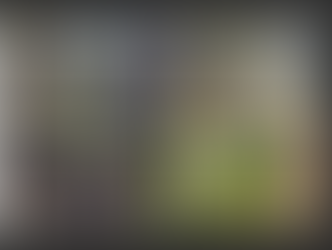 Acht wunderbare Hunde kommen zu uns auf den Hof😀