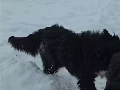 Video-Update vom "Mädels-Trio": Emma, Rosa & Pina freuen sich auf´s Leben!🤸‍♀️🤸‍♀️🤸‍♀️