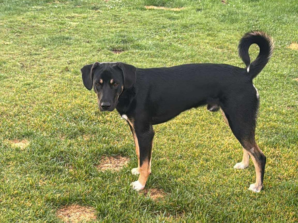 Mehr über Sky unter "Fremdvermittlung - Sky"