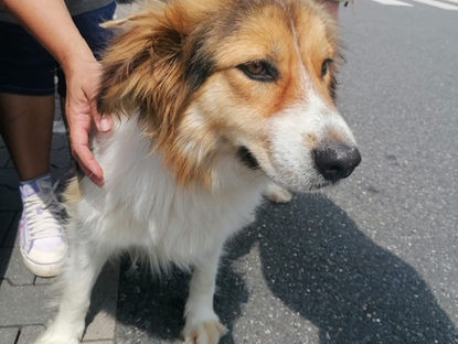 Rea und Bela sind da!