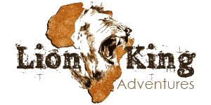 lion king adventures