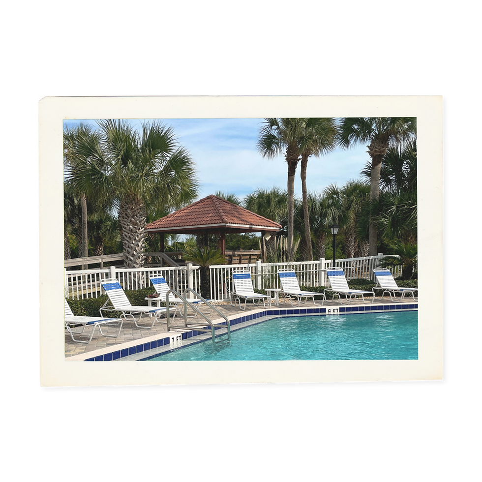 Outdoor swimming pool surrounded by palm trees at Ocean Village Club in St. Augustine Beach.