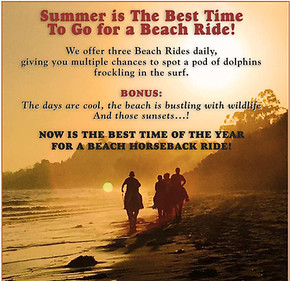Summer Best for Beach Rides .jpg