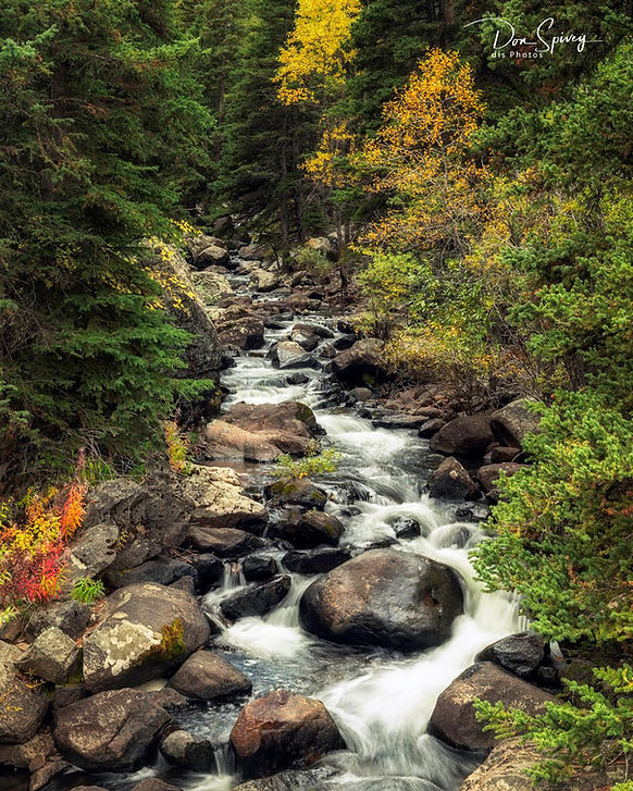 Don S-Open 1-Crazy Woman Creek in Crazy