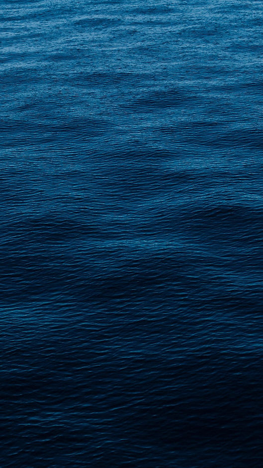 Menu Rassembleuse.jpg