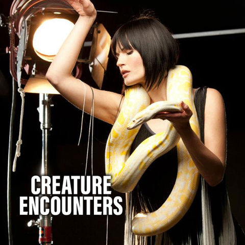 creature-enc.jpg