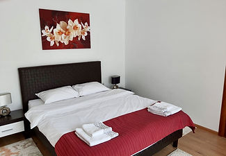 Camera nr. 1 - Cameră dublă matrimonială