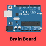 Brain Board.png
