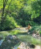 Psychotherapy & Wellness Retreat with Briar & Andrew