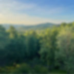 Forest bathing & wellness retreat - Umbria Italy