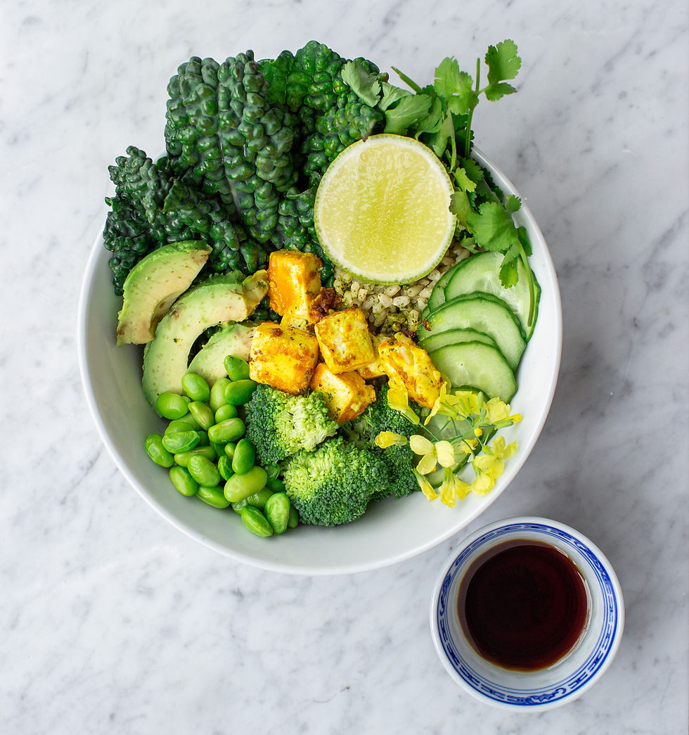 Sol Yoga Studio & Plant-based 30 Day Challenge Introduction Night