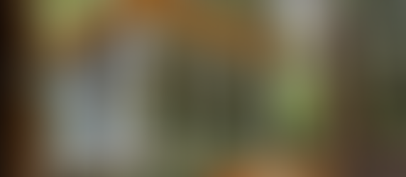 BellaBrave, celery juice and other summer 2024 bits