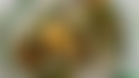 Mary's Avocado Toast with Crispy Eggs & Pepitas