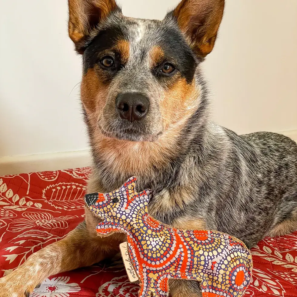 Thumbnail: Desert Dog Chew Toy Trevor, Non Toxic Dog Toy, Outback Tails