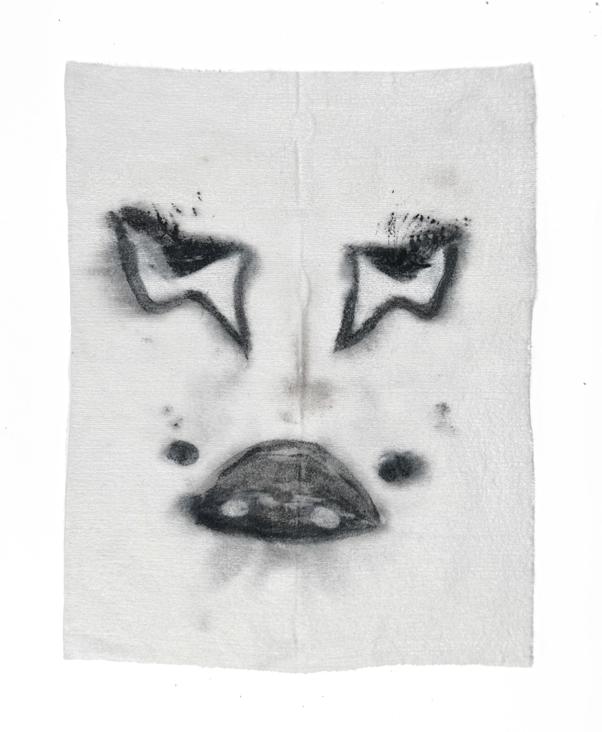 Framed Face Wipe Print 