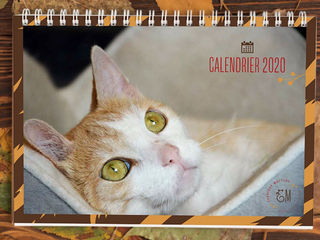 CALENDRIER 2020
