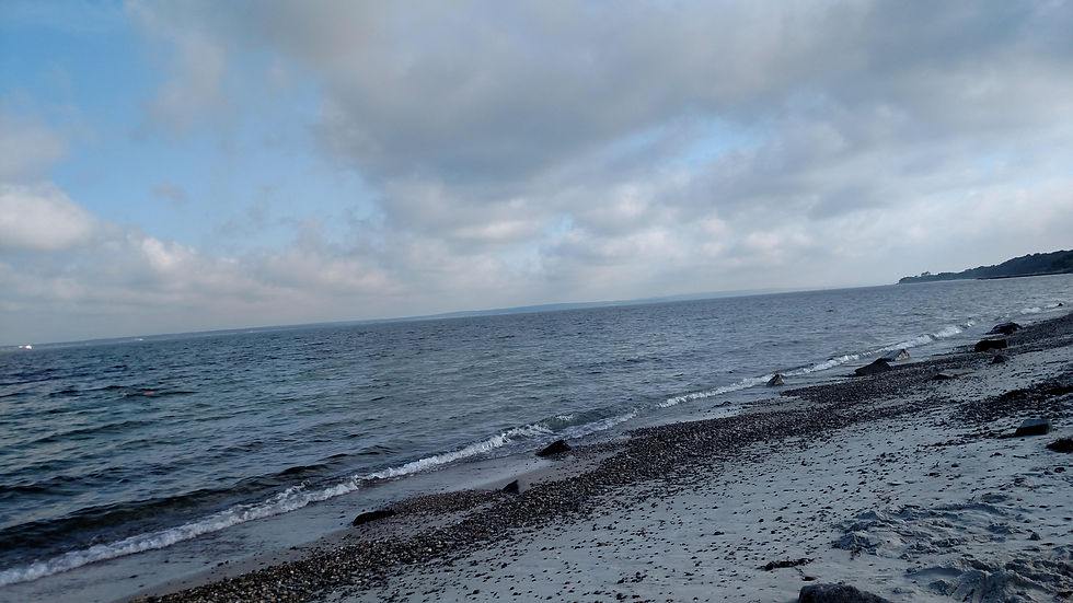 REA Storm the Beach