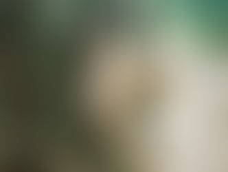 O celebrowaniu poranków, szklanych ścianach i o tym, jak kawa przyniosła odpowiedzi.