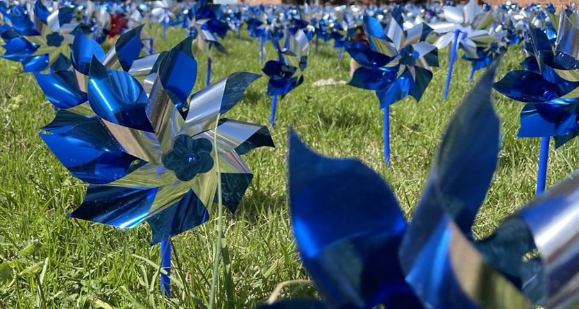 2024-UVA-Donate-a-Life-Month-pinwheels-UVA-Health_edited.jpg