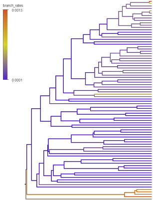 branch_rates_tree_example.png