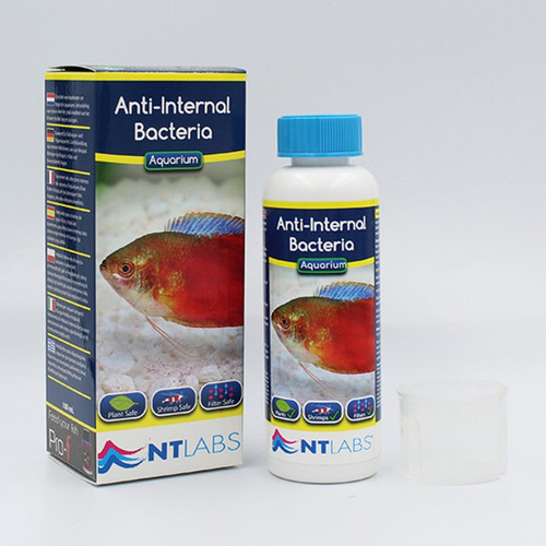 NT Labs Anti Internal Bacteria 100ml The Fish Barn