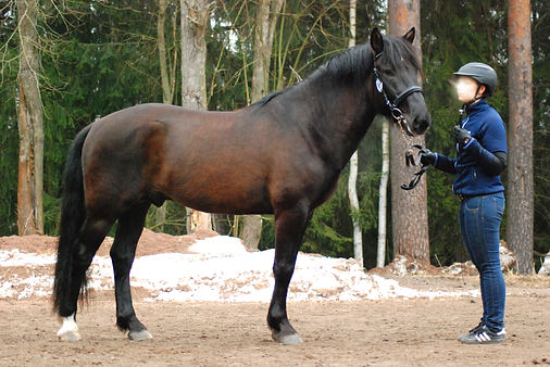 Hemmoni (2)_edited.jpg