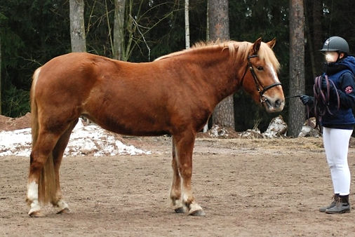 Oo2 (2)_edited_edited.jpg