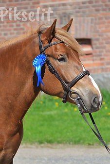 Ilolan Taika (1).jpg