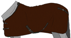 Villaloimi @ Equestrian Pro