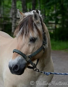 Ronja1.jpg