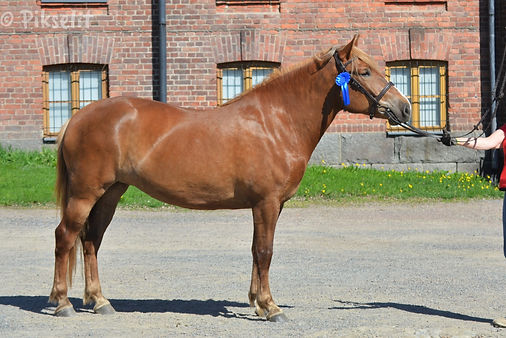 Ilolan Taika (2).jpg