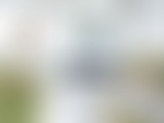 期間限定プランのご紹介♡