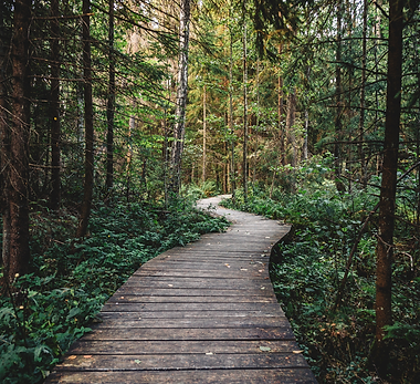 path.png