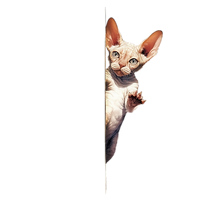 cat (4).png