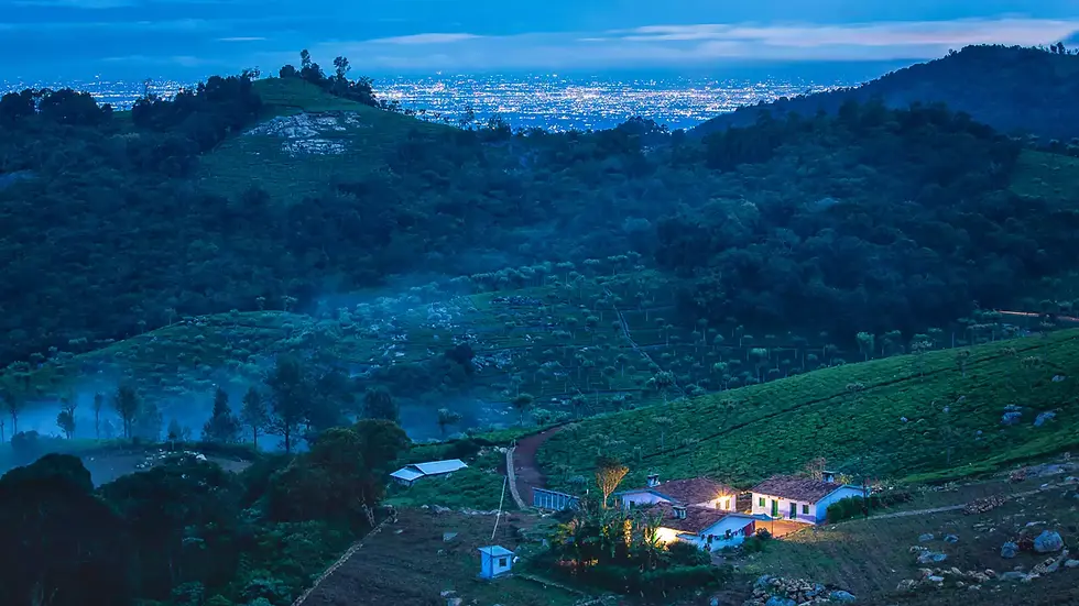 Mist, coffee, and old bungalows: Explore South India’s atmospheric hill towns